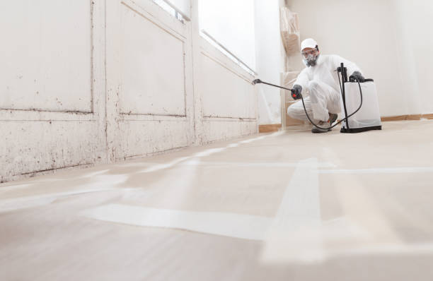 24/7 Emergency Mold Testing experts in Dysart, PA