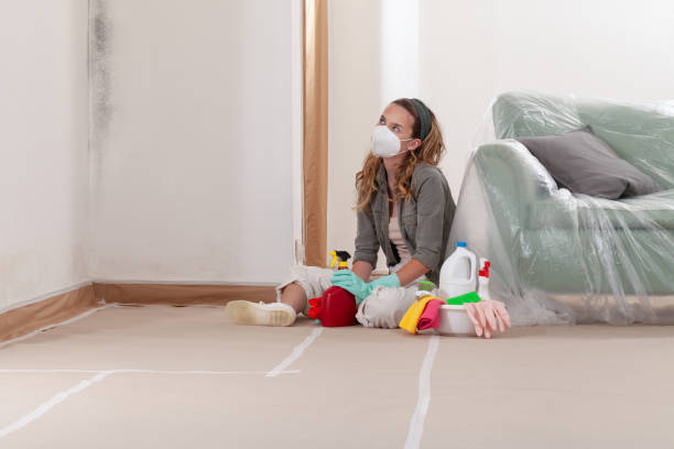 Reliable Mold Testing contractor in Dysart, PA by WQB Mold Removal